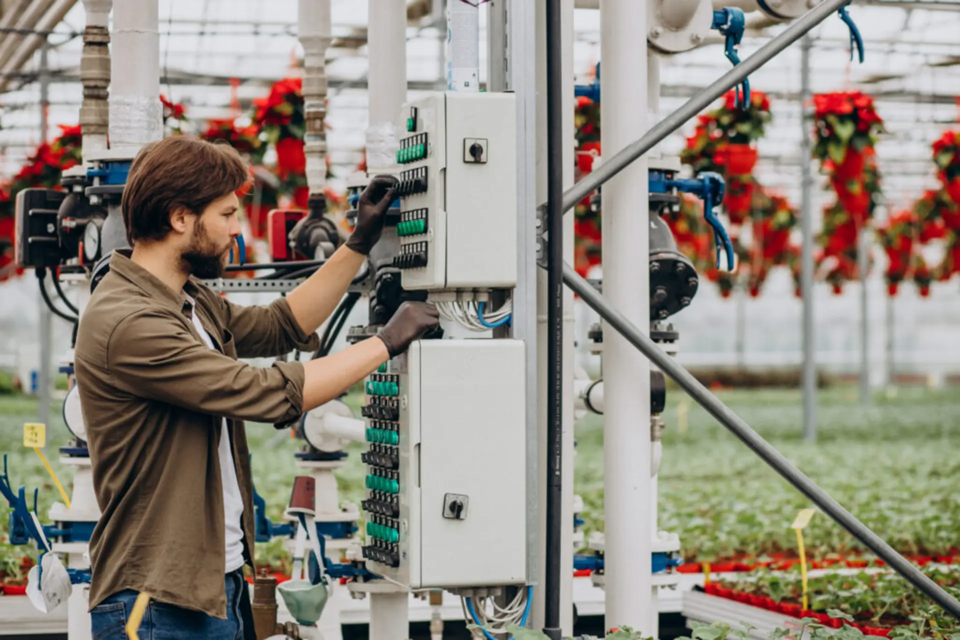 Agricultural Electrical